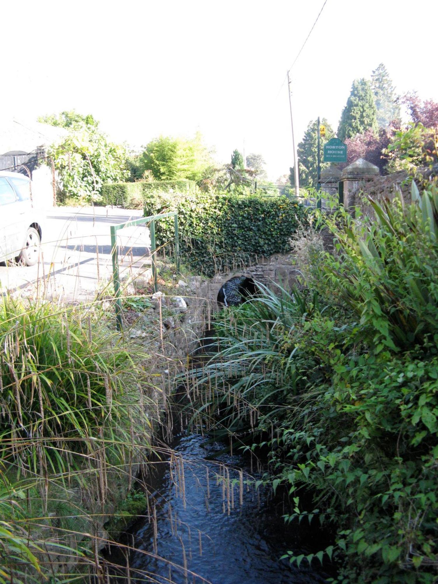 Norton House Bed & Breakfast & Cottages Whitchurch  Extérieur photo